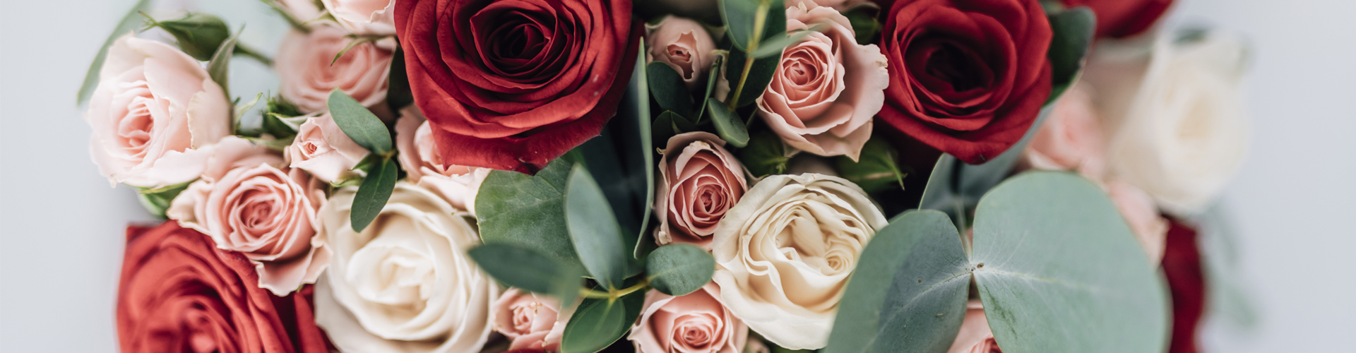 LE ROSE