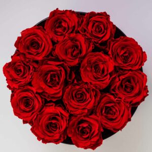 rose rosse gambo lungo